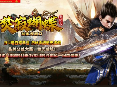 全网最新独家焚寂蝴蝶无限刀神器单职业传奇版本-第六大陆-自动回收-带假人-新GOM引擎