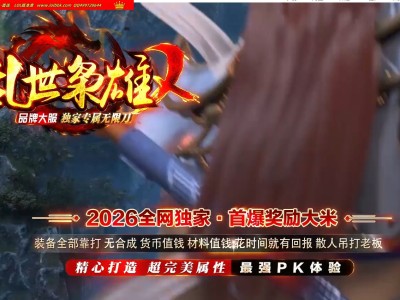 4-376最新独家乱世枭雄2正版专属神器无限刀单职业传奇版本-第五大陆-自动回收-ESP插件-GOM引擎